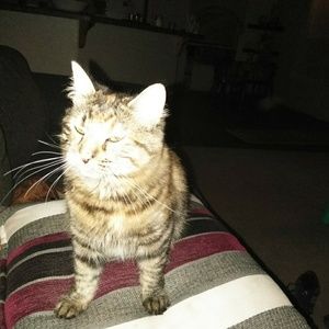 Meet your Posher, Sara